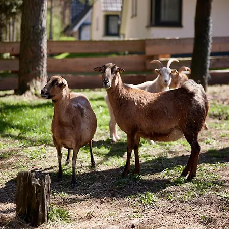 Prázdninový dům Doppelhaushaelften Im Naturresort *